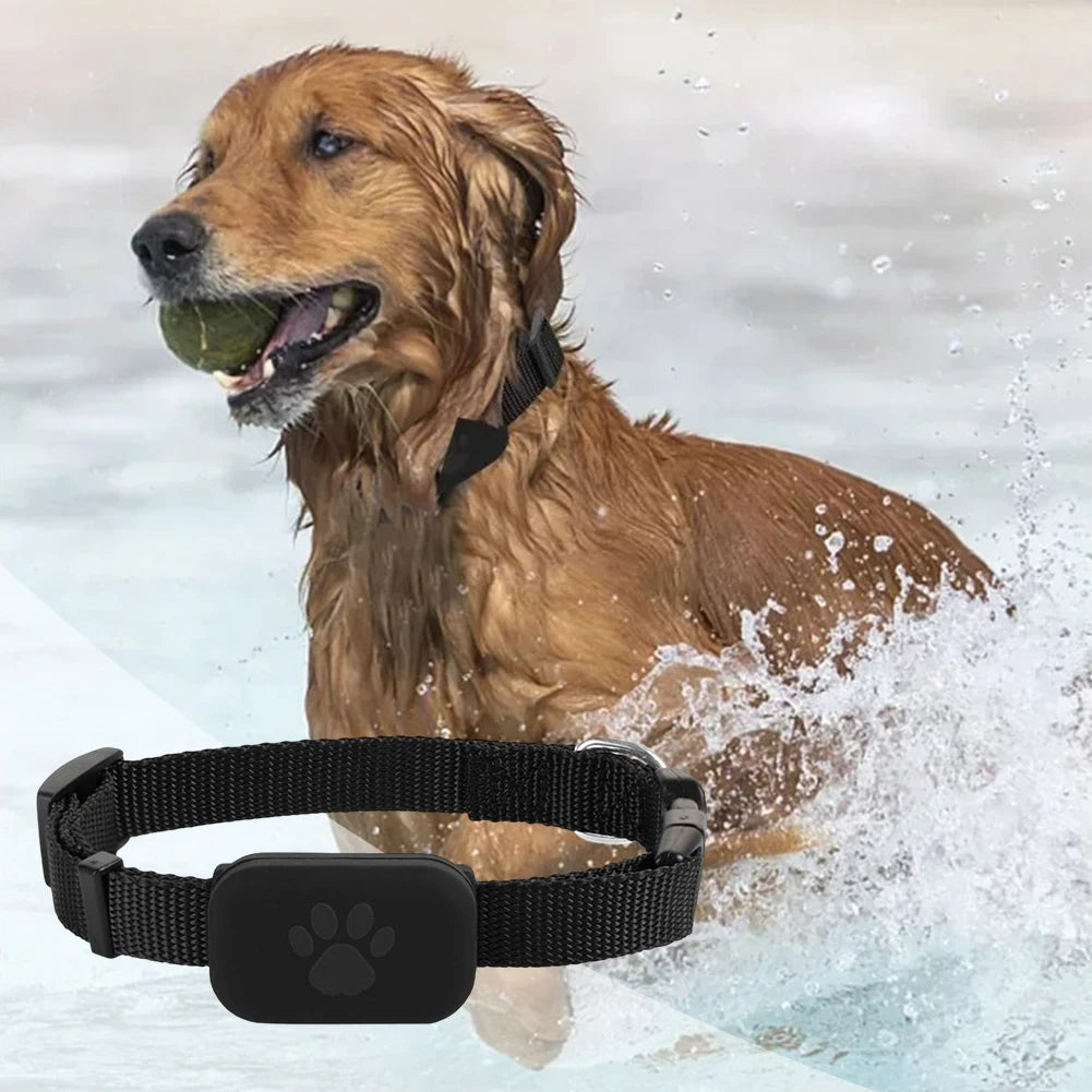 Pet GPS Tracker with Adjustable Collar Cat Locator Smart Pet Locator for Cats and Dogs